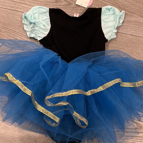 NWT Princess Anna dress/ballet dress fluffy tulle - Picture 5 of 6